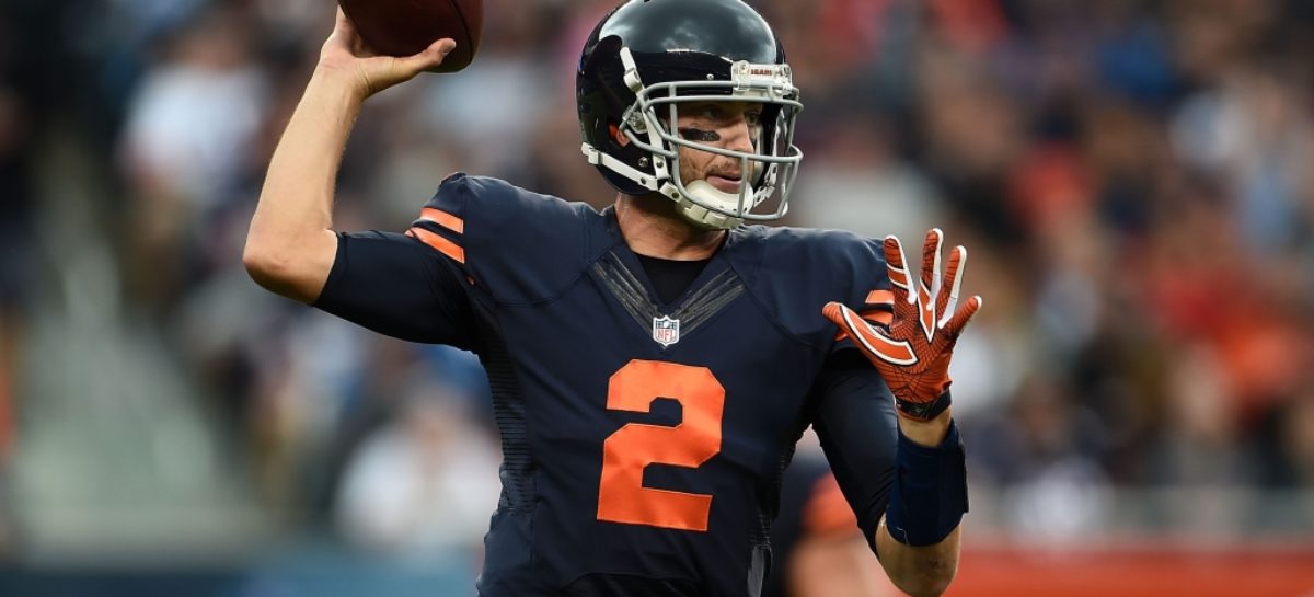 Fan in gorilla suit runs on field during Lions-Bears game