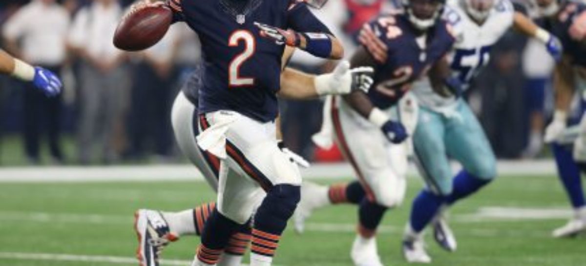 Hoyer leads way as Bears beat Lions 17-14 for 1st win