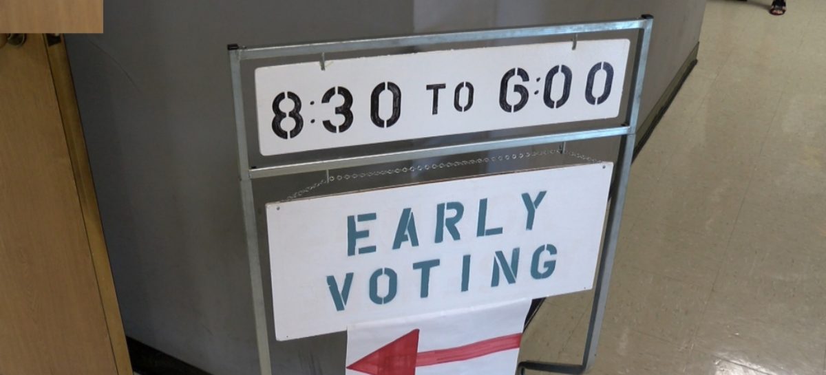 Have a voting question? Travis Co. Elections call center here to help