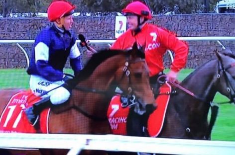 Almandin wins 2016 Melbourne Cup