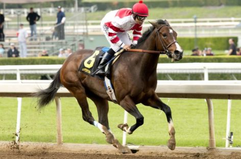 California Chrome installed as hot Classic favorite