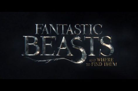 Cogill: Harry Potter Fans Will Love “Fantastic Beasts”