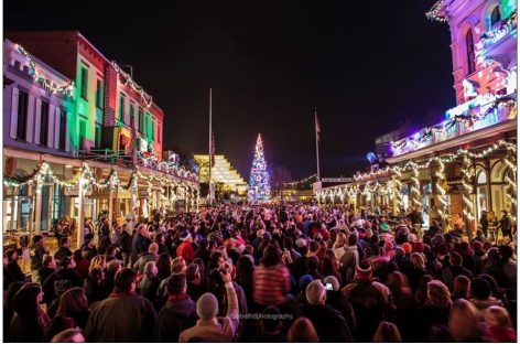 Meridian tree decked out, ready for lighting on Tuesday