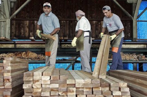 Trump slaps tariff on Canadian softwood lumber