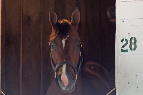 Co-favorite Always Dreaming wins Kentucky Derby