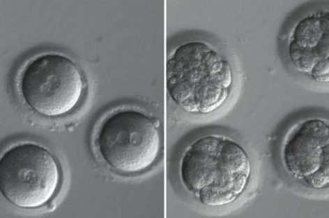 Scientists first managed to modify the genes of a human embryo