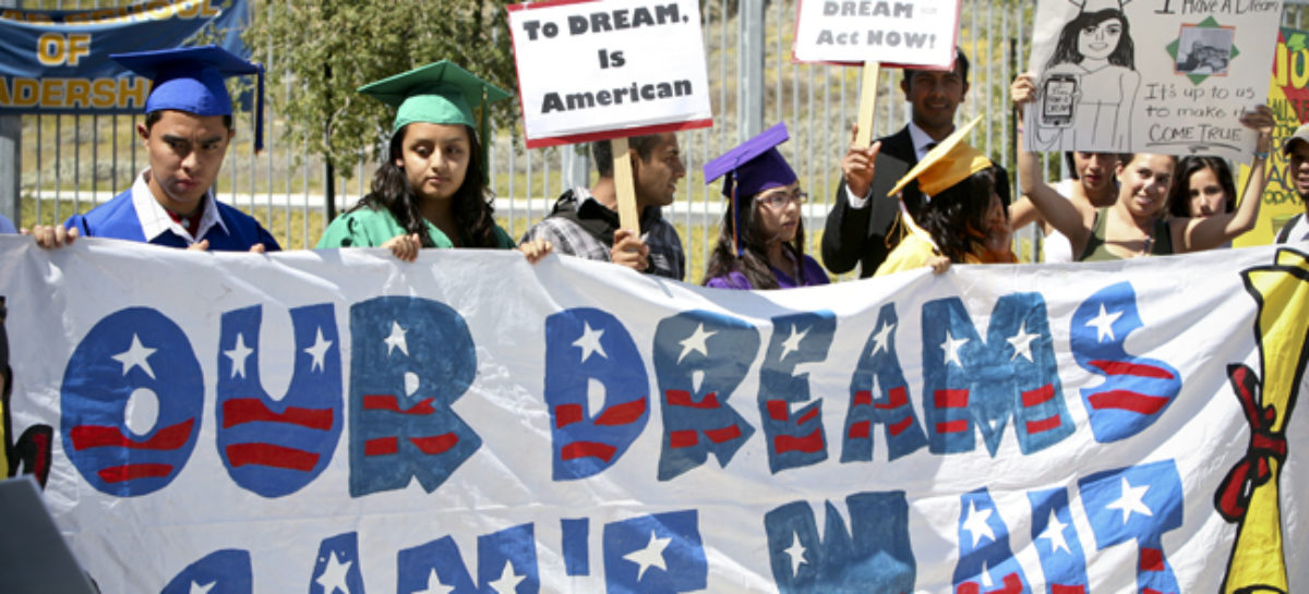 DACA participants can again apply for renewal, immigration agency says