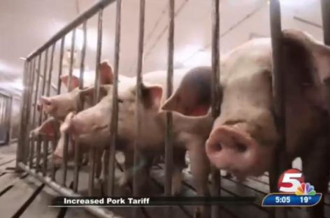 China announces 25% duty on U.S. pork