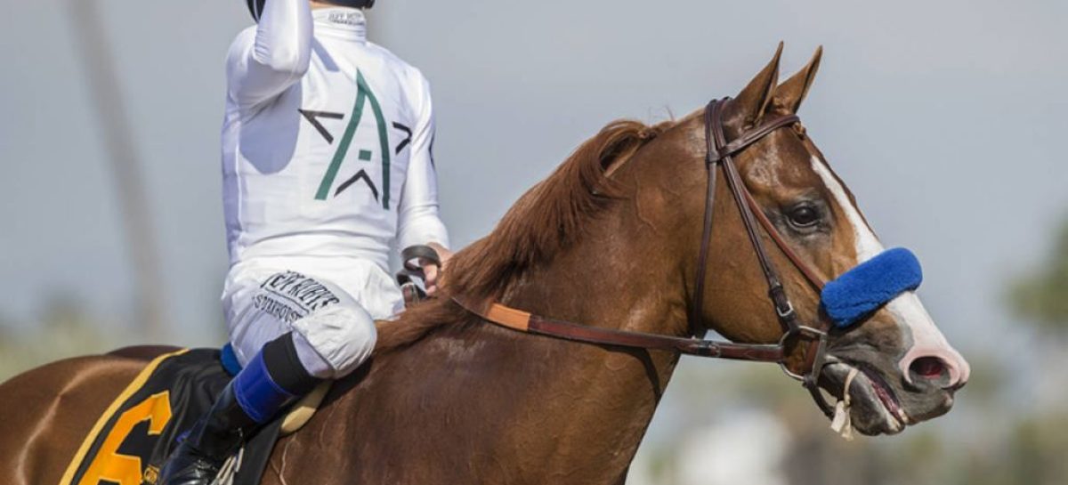 Kentucky Derby Odds: Justify Pulls Ahead As Saturday’s Betting Favorite